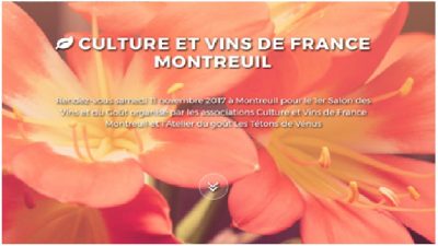Salon des vins Montreuil 2017
